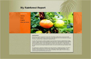 School - rainforest School - rainforest