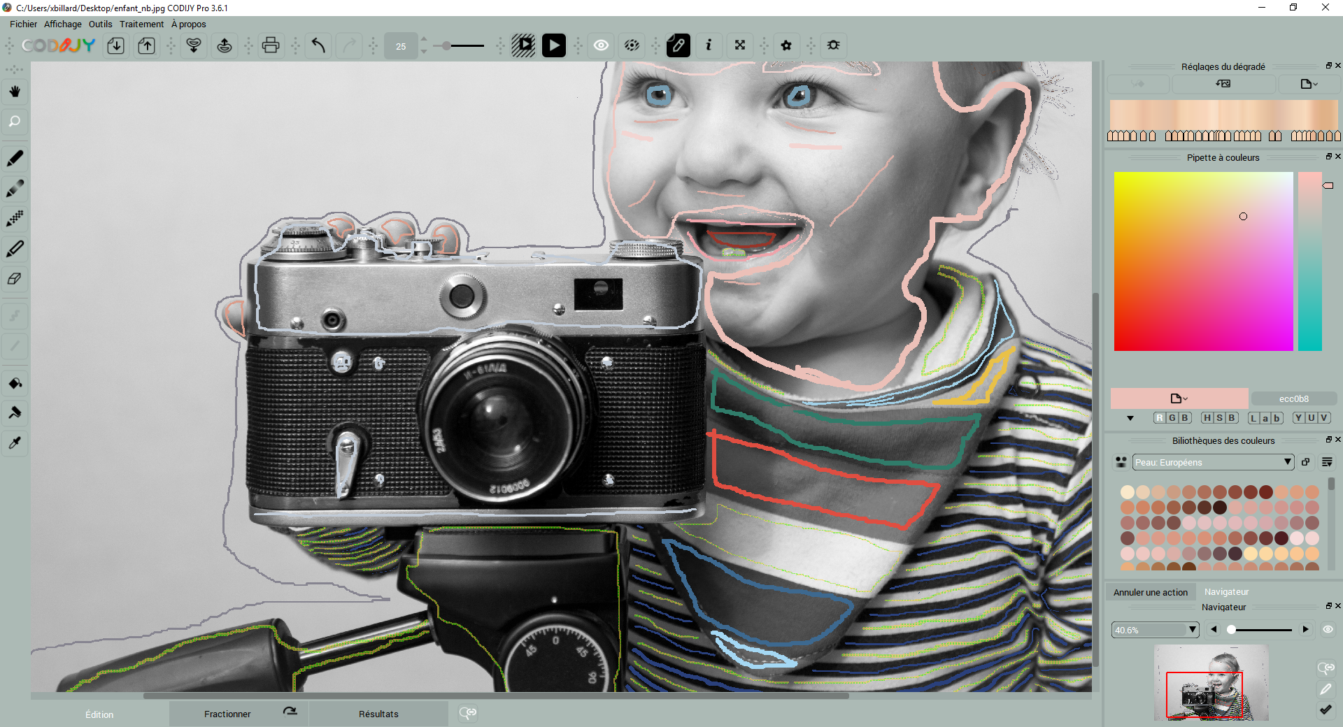 Transformez sans efforts vos photos en noir et blanc en chefs-dœuvre de couleur grâce à une technologie de pointe ! 