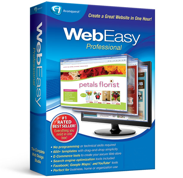 WebEasy Professional 10